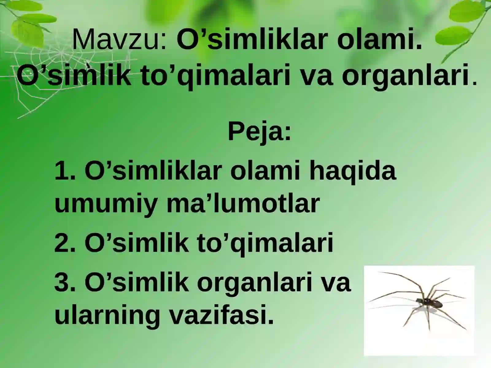 O’simliklar olami. O’simlik to’qimalari va organlari 2