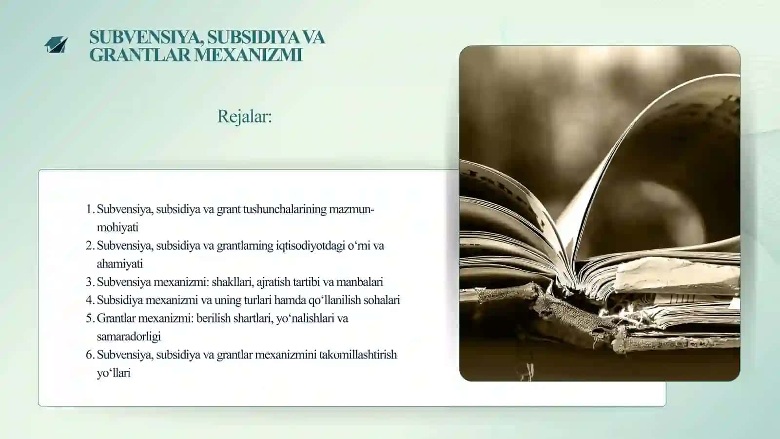 SUBVENSIYA, SUBSIDIYA VA GRANTLAR MEXANIZMI 2