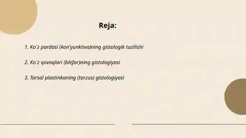 Ko`zning yordamchi apparati gistologiyasi 2