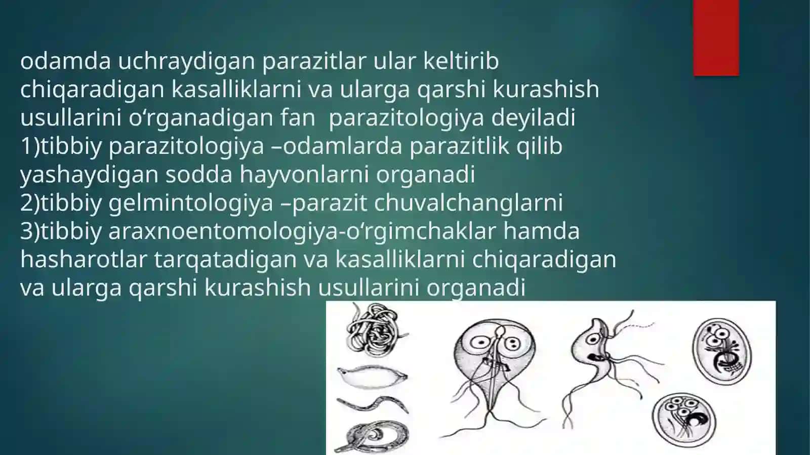 parazitologiya asoslari va ularning kelib chiqishi 2