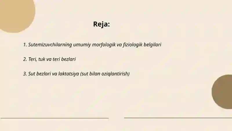 Sutemizuvchilar sinfi 2