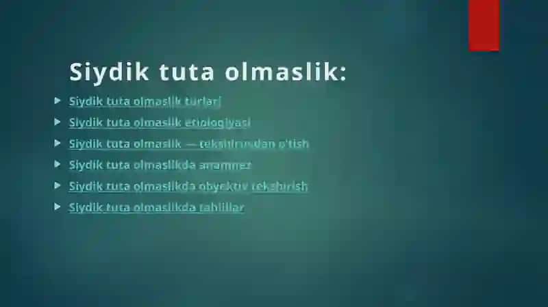 Siydiktutaolmaslik 2