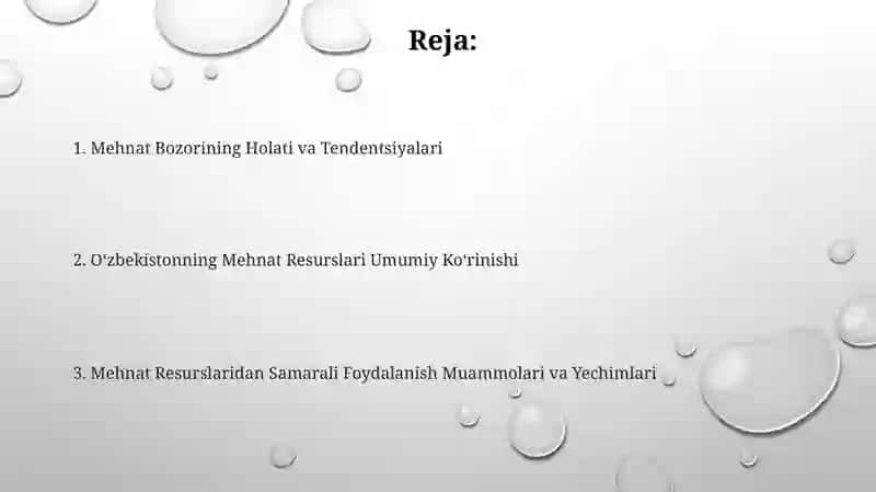 Oʻzbekiston mehnat resurslari 2