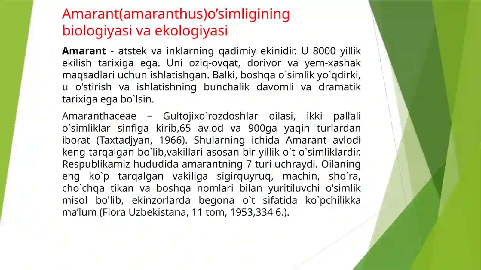 Amarant(amaranthus)yetishtirish hamda dorivorlik hususiyatlarini o’rganish 2