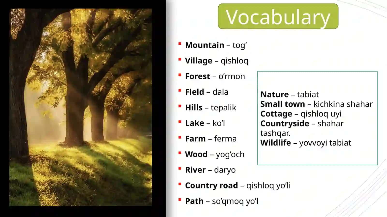 Green livingAdverbs 2