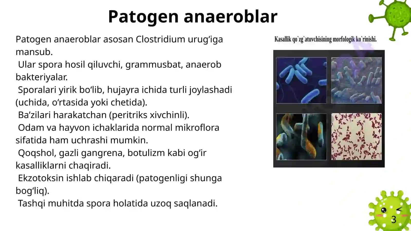 mikrobiologiya taqdimot 2