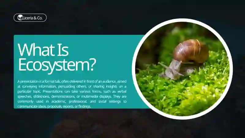What Is Ecosystem? 2