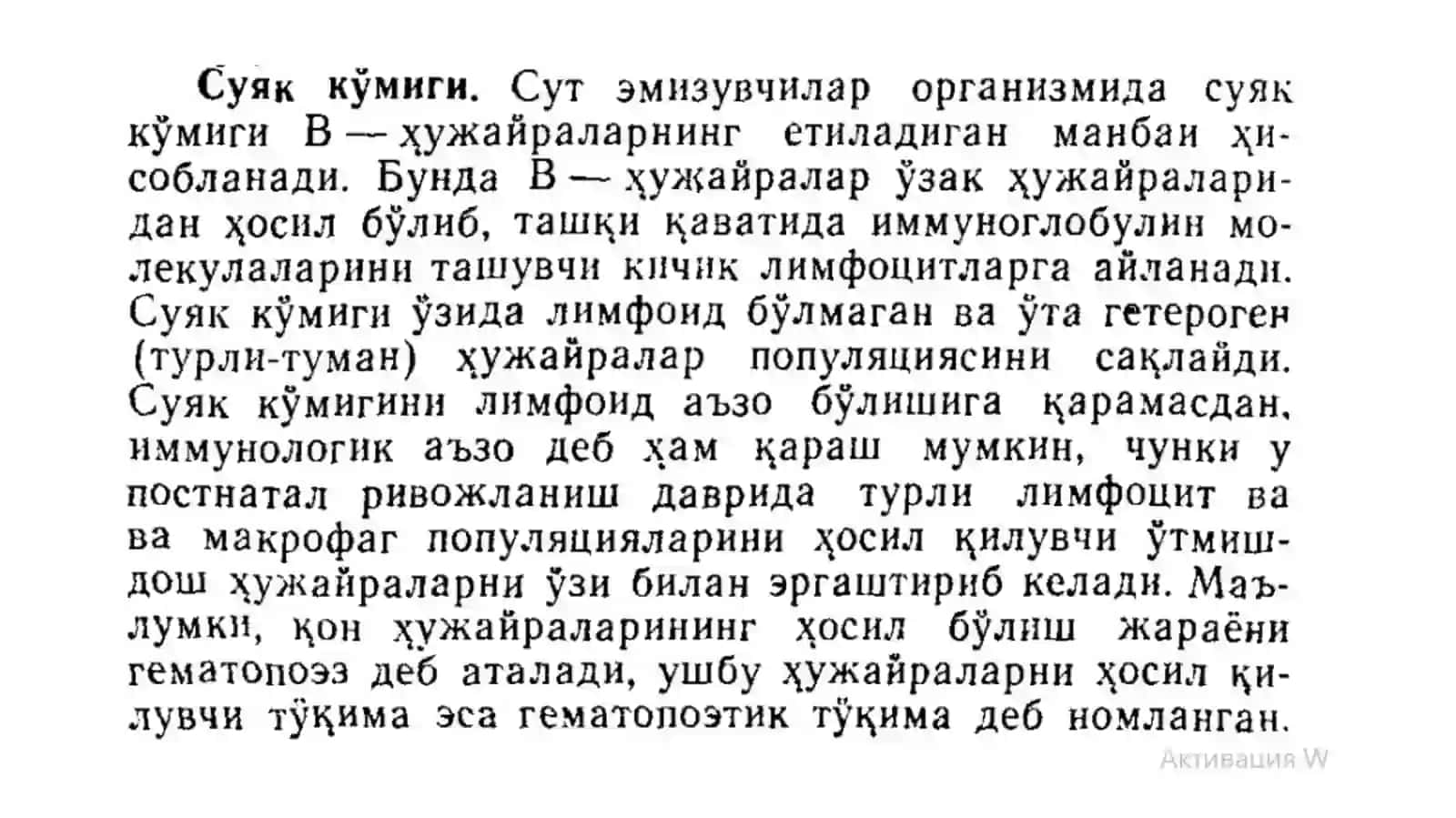 Суяк кўмиги унинг тузилиши (Suyak koʻmigi uning tuzilishi) 2