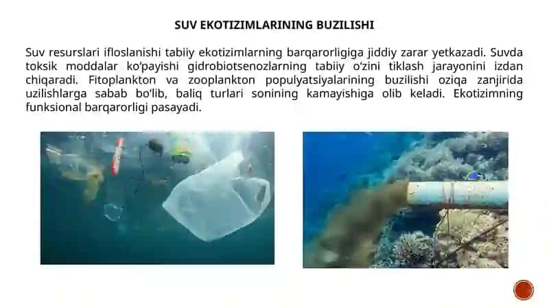 Suv resurslari ifloslanishining ekologik oqibatlari 2