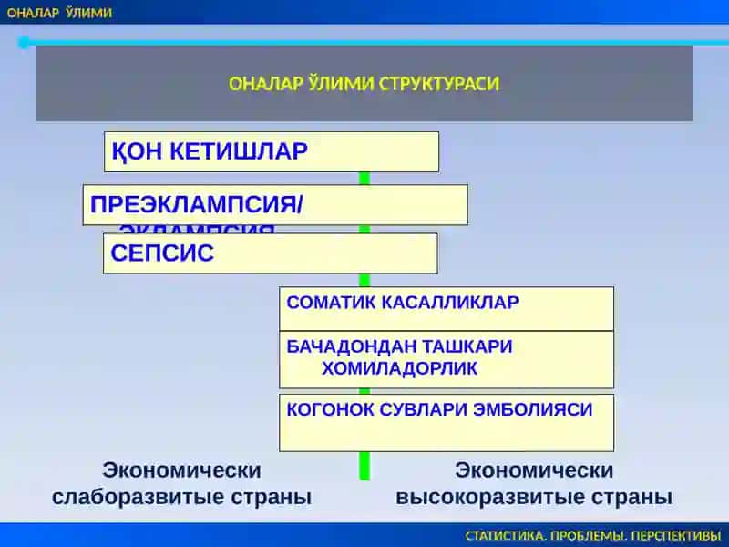 Чилладаврисептикасоратлари.Акушерликперитонити. Сепсис. 2