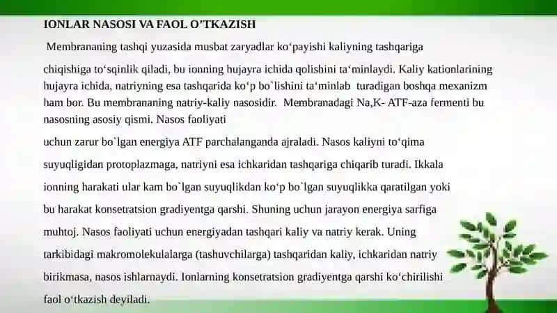 Ion kanallarining aktivatsiyasi,deaktivatsiyasi va inaktivatsiyasi. 2