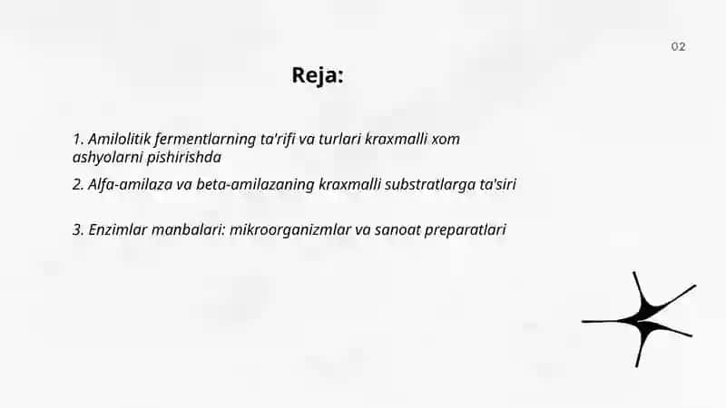 Kraxmalli xom ashyolarni pishirishda amilolitik fermentlarni qollash 2