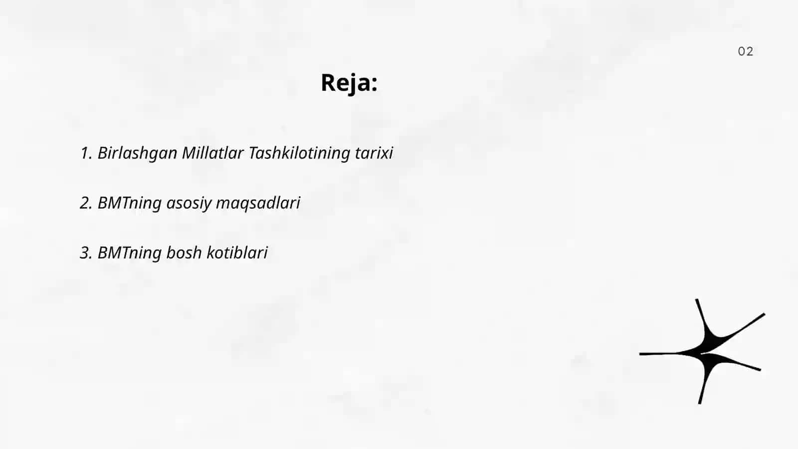 Birlashgan Millatlar Tashkiloti 2