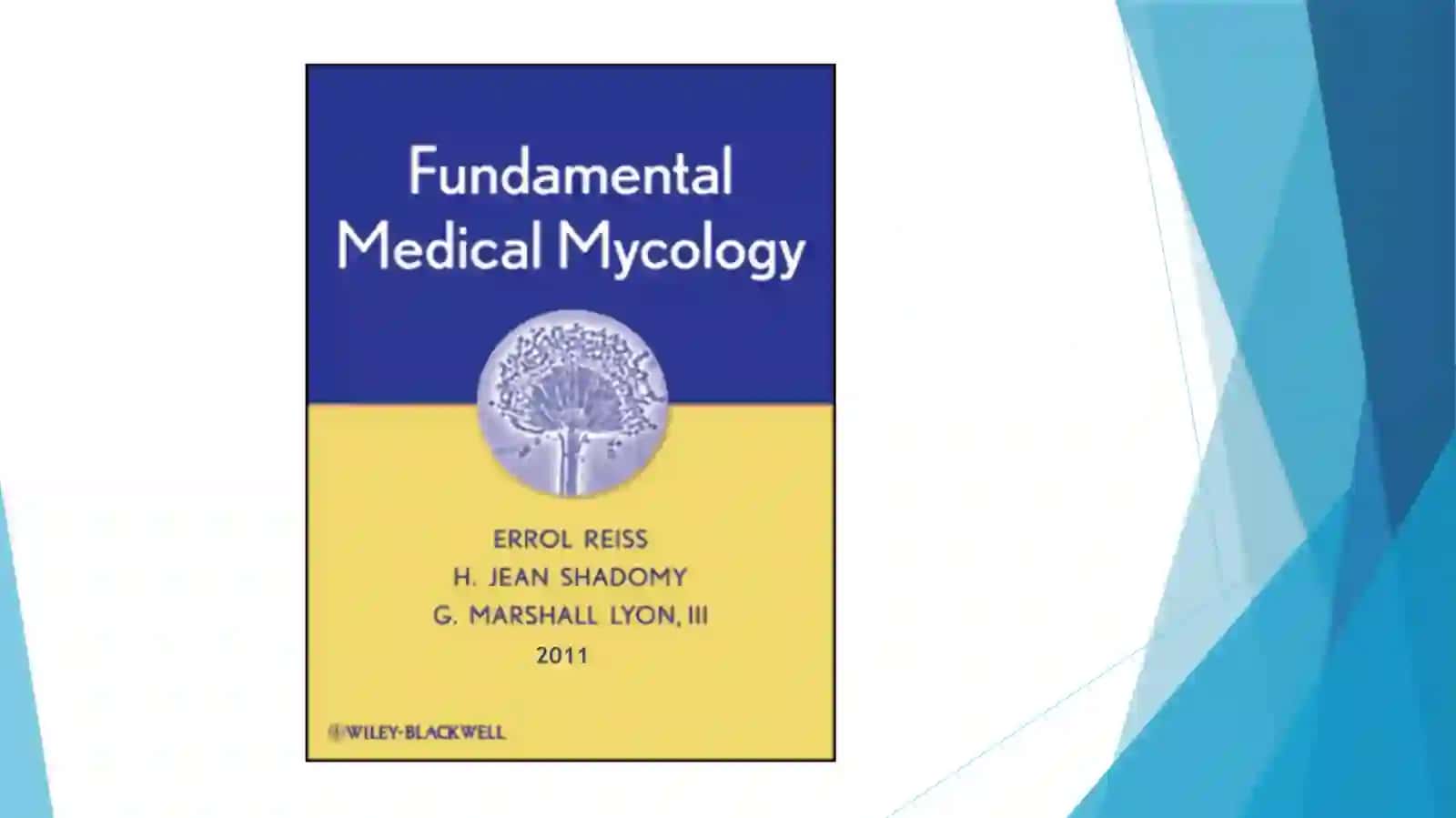 Medical Mycology Lecture 2