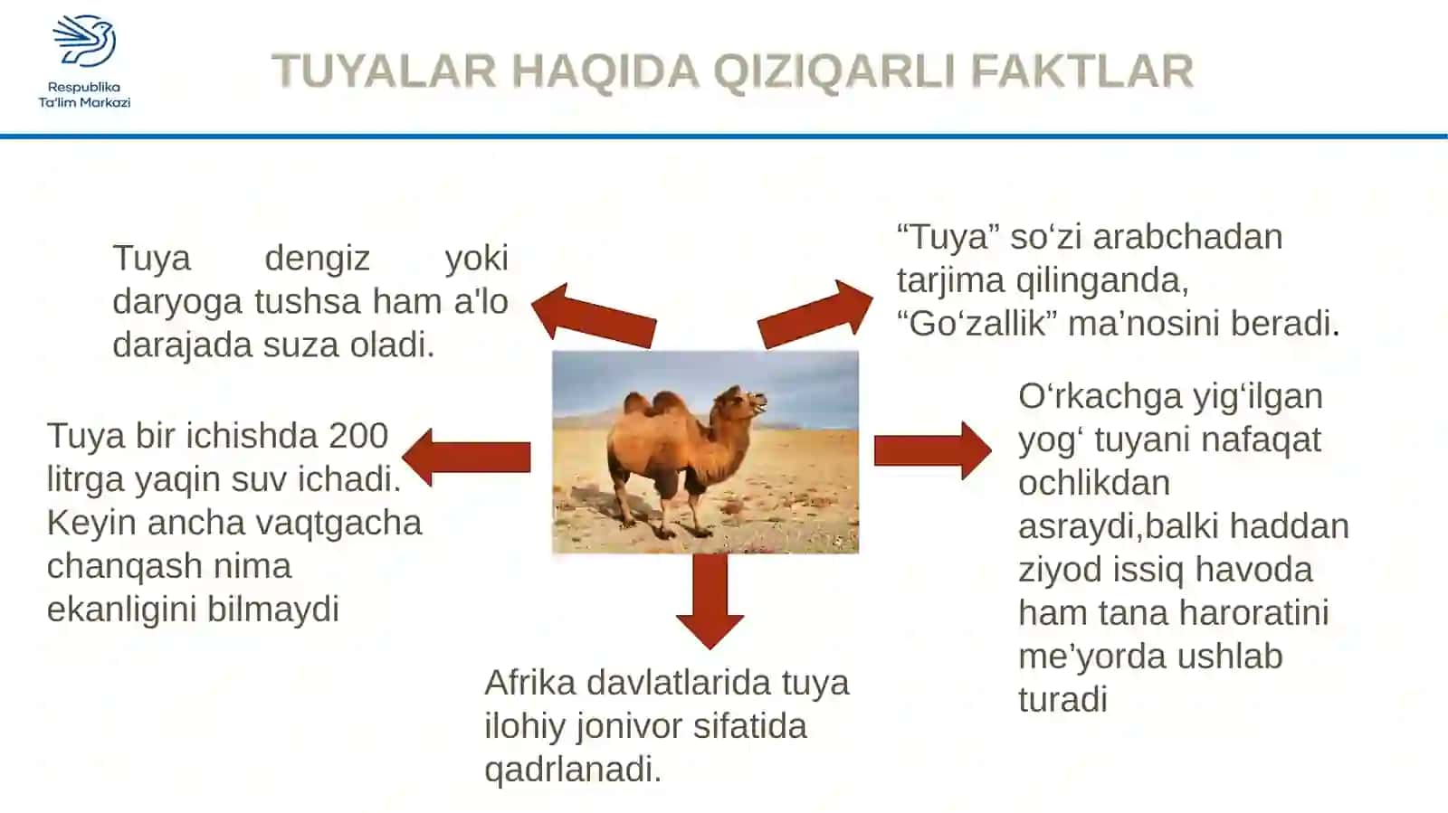 TUYA RASMINI ISHLASH 2