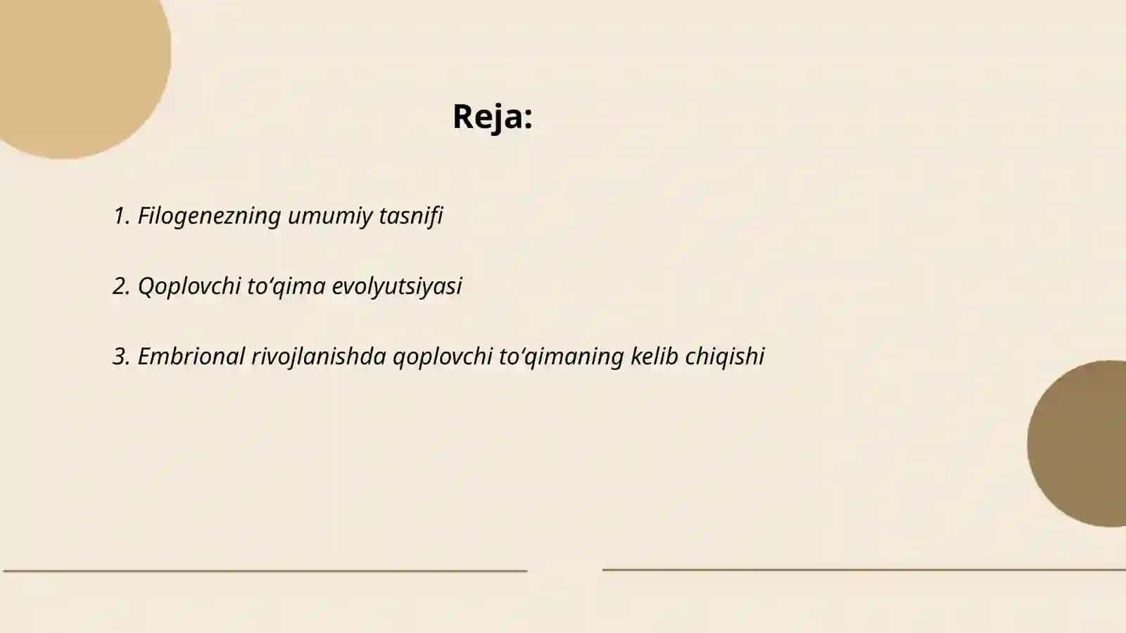 Organlar filogenezi:qoplovchi toʻqima filogenezi 2