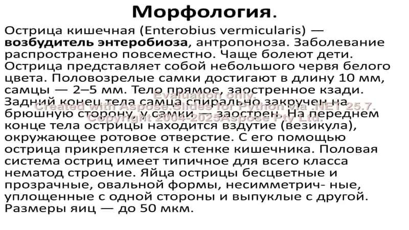 Паразитарнные инфекции. Паразиты мочеполового и кишечного тракта. Заболевания, вызванные простещеми 2