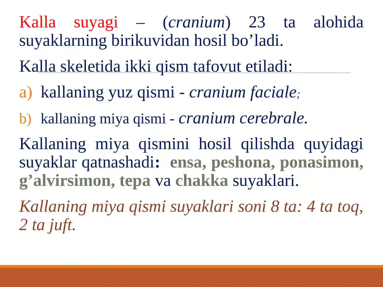 Osteologiya.Boshskeleti.Kallaning miya qismi suyaklari 2