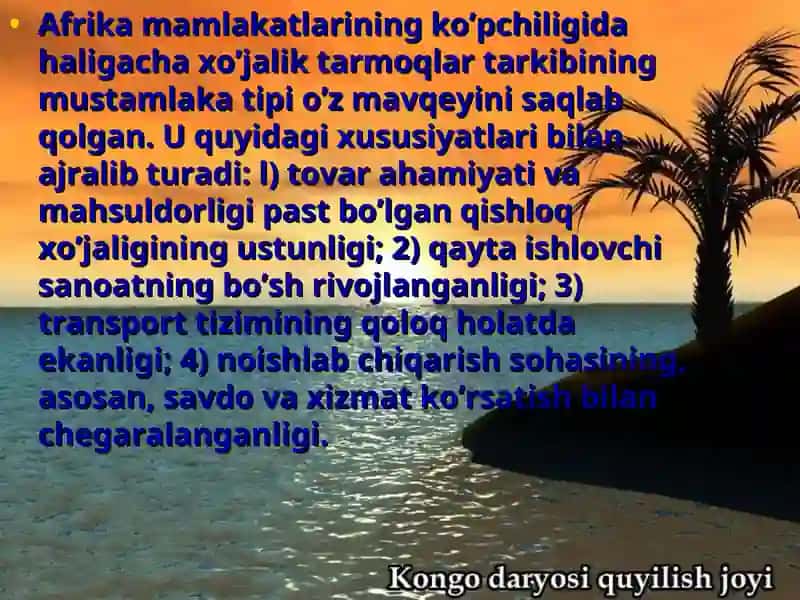 Afrika mamlakatlari xo’jaligi, iqtisodiy rayonlari 2