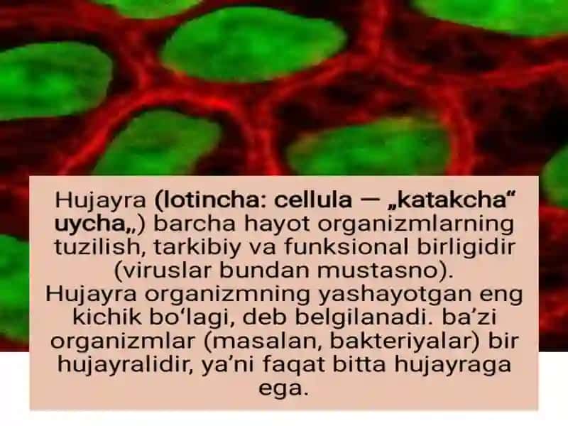 Hujayra. O’simliklar olami va sistematikasi 2