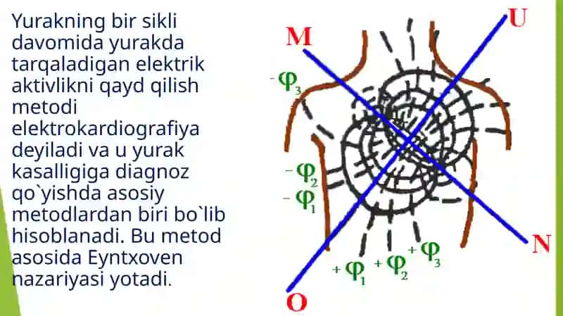 Тиббиётда замонавий текшириш усуллари. Електрокардиография(ЕКГ) 2