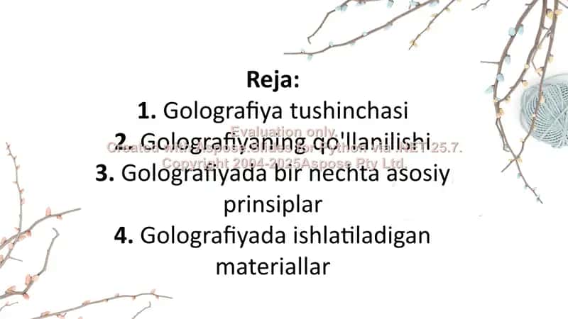 Golografiya 2