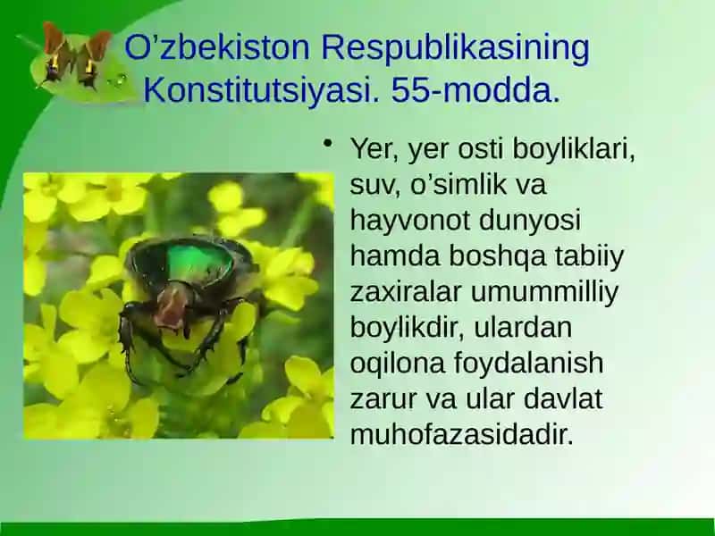 O’simliklar dunyosini muhofaza qilish 2