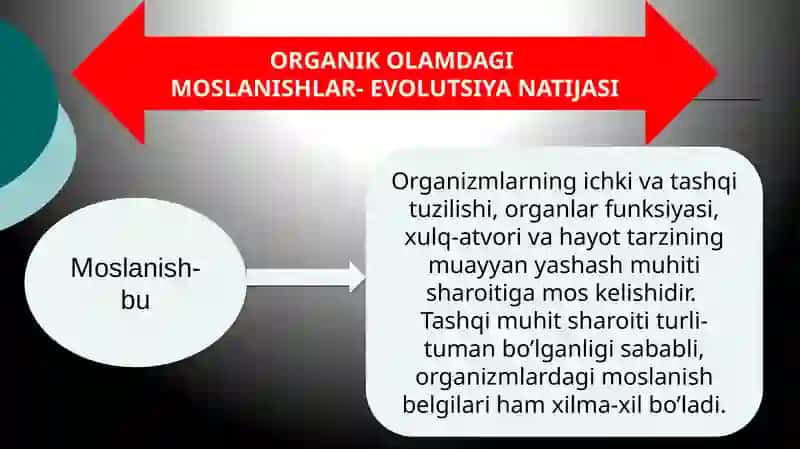 Organik olamdagi moslanishlar –evolyutsiya natijasi 2