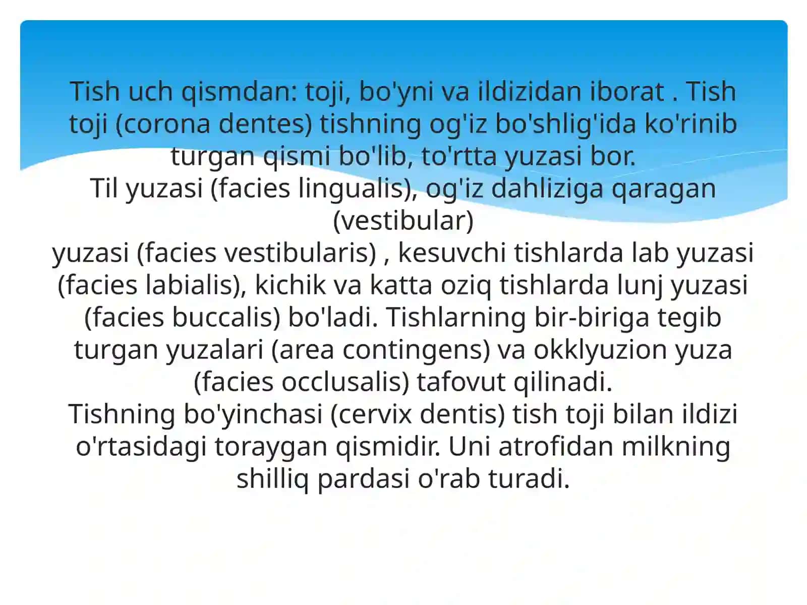 Tishlarning rentgen anatomiyasi. Prikus va tish taraqqiyotida uchraydigan anomaliyalar 2