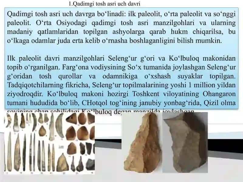 O‘rta Osiyoning ilk poleolit davri ibtidoiy manzillari 2