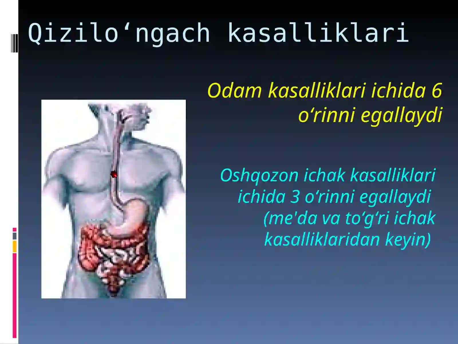 Bolalarda qizilo’ngach kuyishi va yot jismlari. Etiopatogenez, klinika, diagnostika va davolash usullari 2