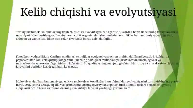 Gulli OʻSimliklarni Kelib Chiqishi 2