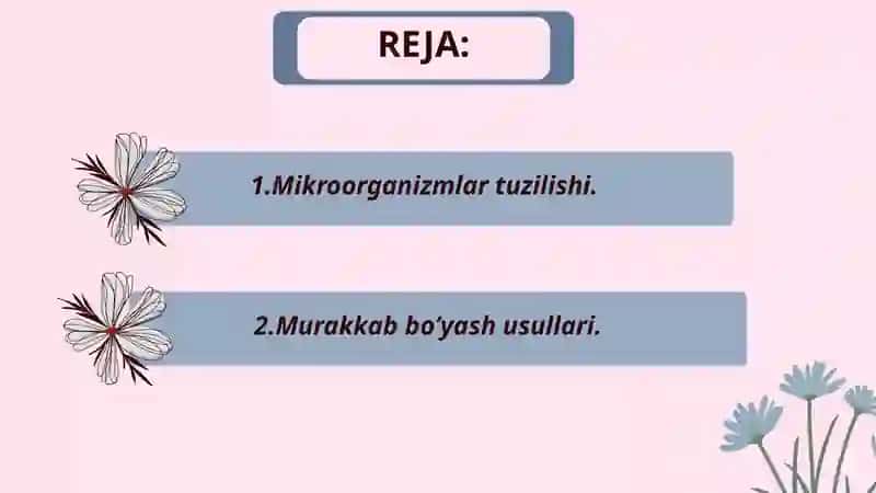 Mikroorganizmlarning strukturasi. Murakkab bo'yash usullariari 2