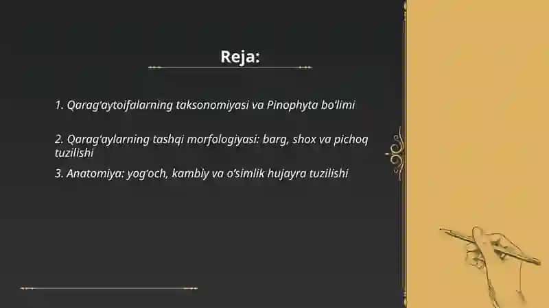 Qaragʻaytoifalar (ochiq urugʻli toifalar) boʻlimi 2