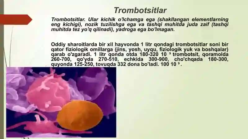 Trombotsitlar fiziologiyasi 2