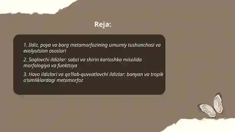 Ildiz poya va barg metamorfozi 2