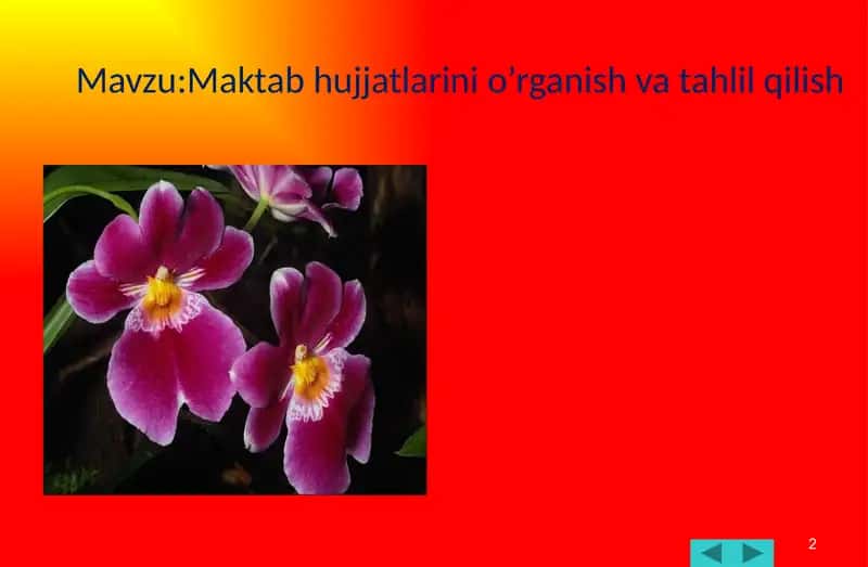 Boshlang'ich ta'lim sport tarbiyaviy ishi 2