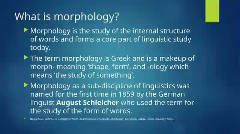Morphology: The morphemic structure of the English language 2