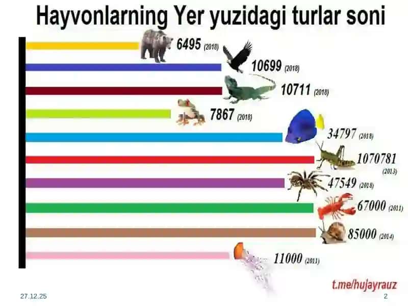 Umurtqasizlar bilan tanishuv 2