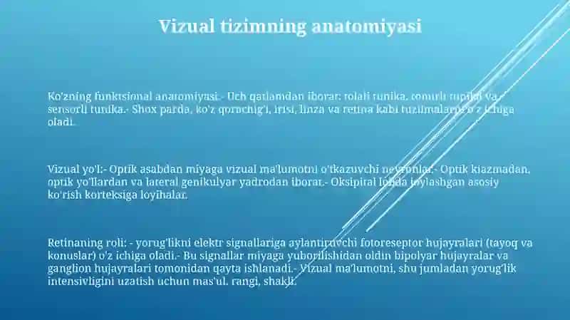 Ko'Rish Analizatori Fiziologiyasi 2