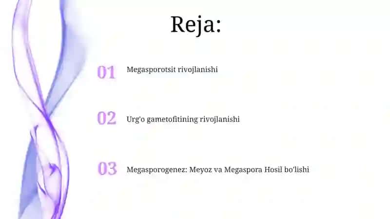 Megasporogenez va urugʻchi gametofitining rivojlanishi 2