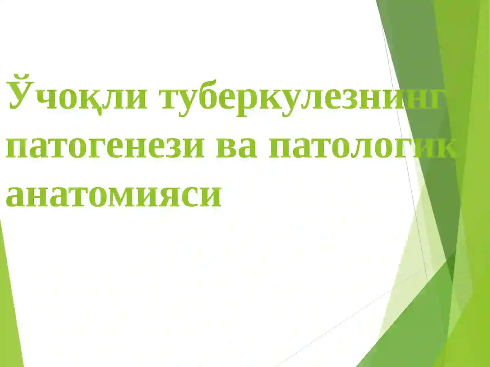 Ўпканинг ўчоқли яллиғланган туберкулёзи, ўпка туберкулёмаси 2
