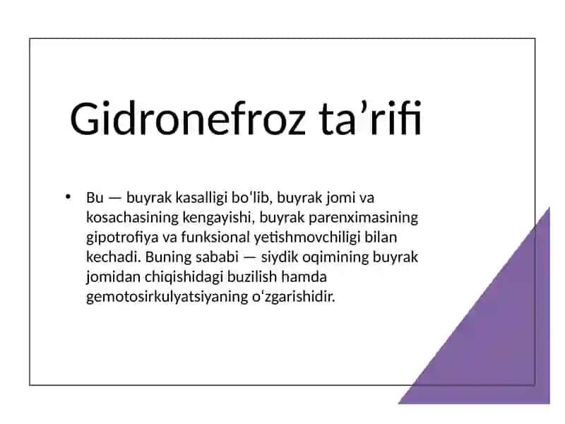 GIDRONEFROZ 2