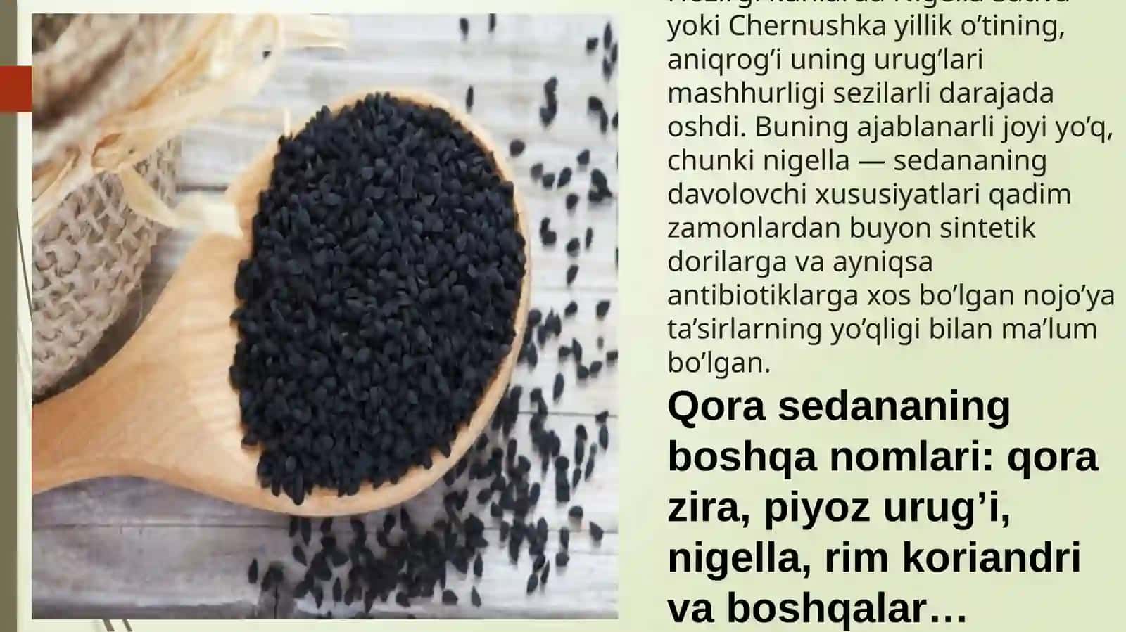 Dorivor qorasedananing umumiy xususiyatlari 2
