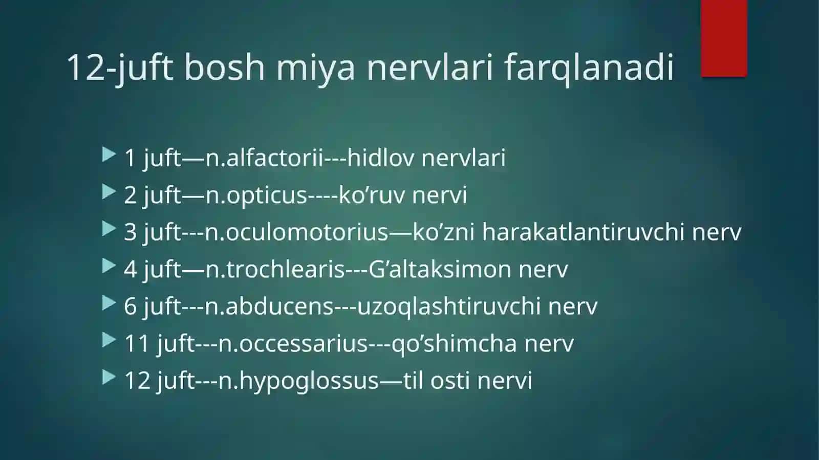 Bosh miya 12 juft nervlari Nervi craniales Anatomical 2