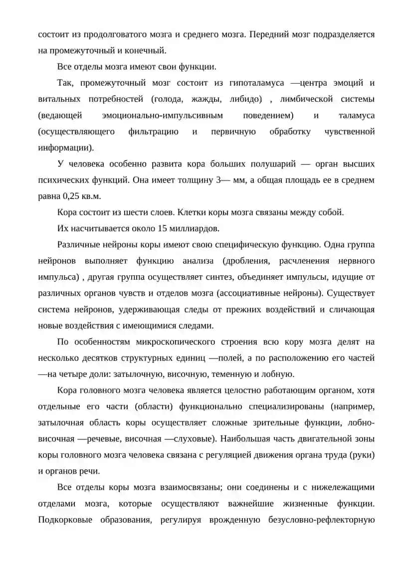 Нервная система 2