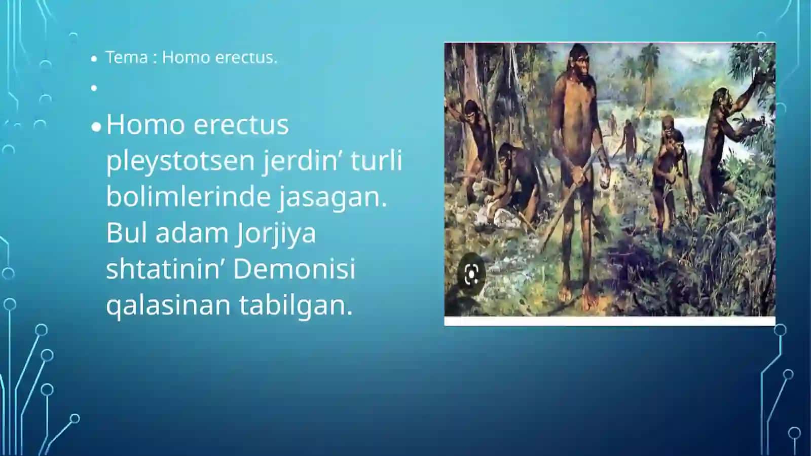 Erejepov Asadbektin Insan evalyutsisinan tayarlagan slayti 2