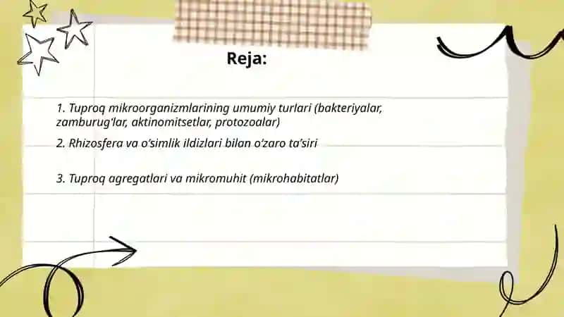 Tuproq mikroorganizmlar yashash muhiti sifatida 2