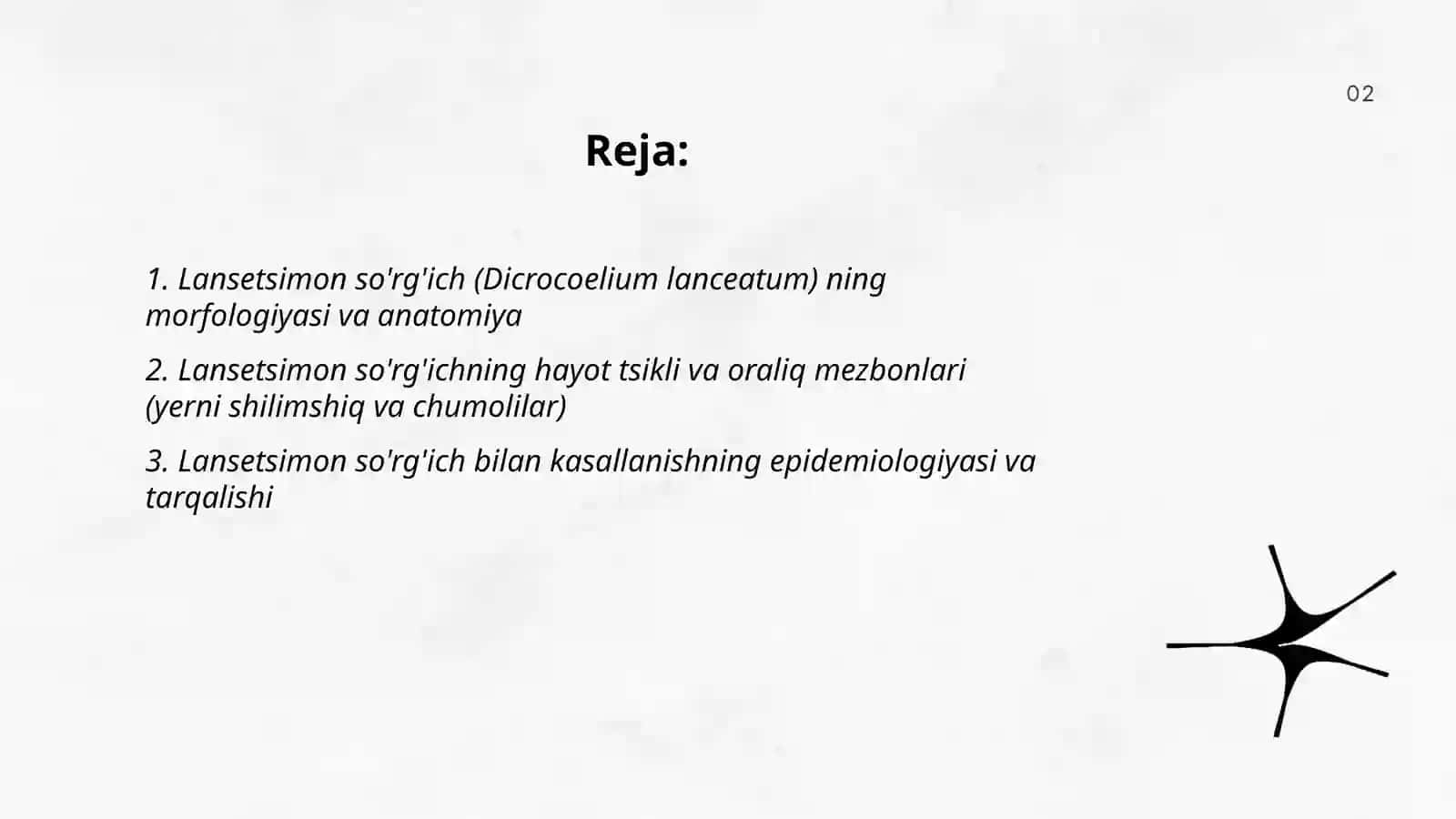 Odamlarda parazitlik qiluvchi so'rg'ichlilar (lansetsimon so'rg'ich, o'pka qurti, qon qurti) by Islomova Shahzoda 2
