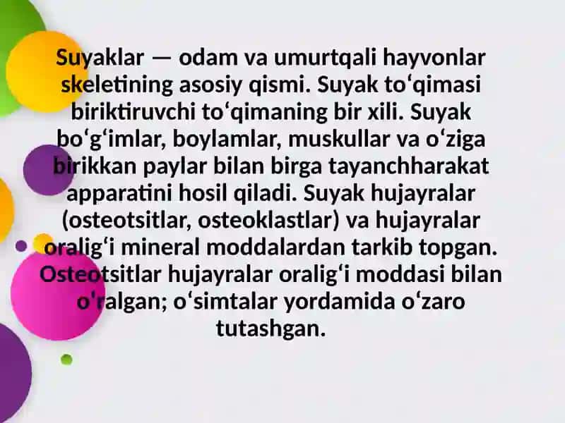 Suyaklar 2